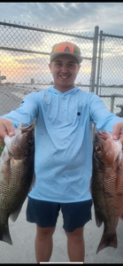 Snapper Catch!